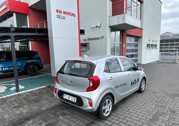 Kia Picanto cena 65900 przebieg: 1300, rok produkcji 2023 z Środa Wielkopolska małe 562